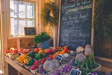 Going An Extra Mile For Organic  With Biodynamic Farming
