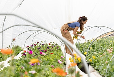 Protecting Crops With Natural  Techniques Instead Of Pesticides