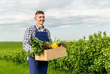 Protecting Crops With Natural  Techniques Instead Of Pesticides